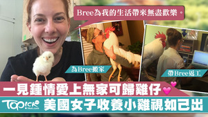 主人Camille和公雞Bree感情很好，經常形影不離。