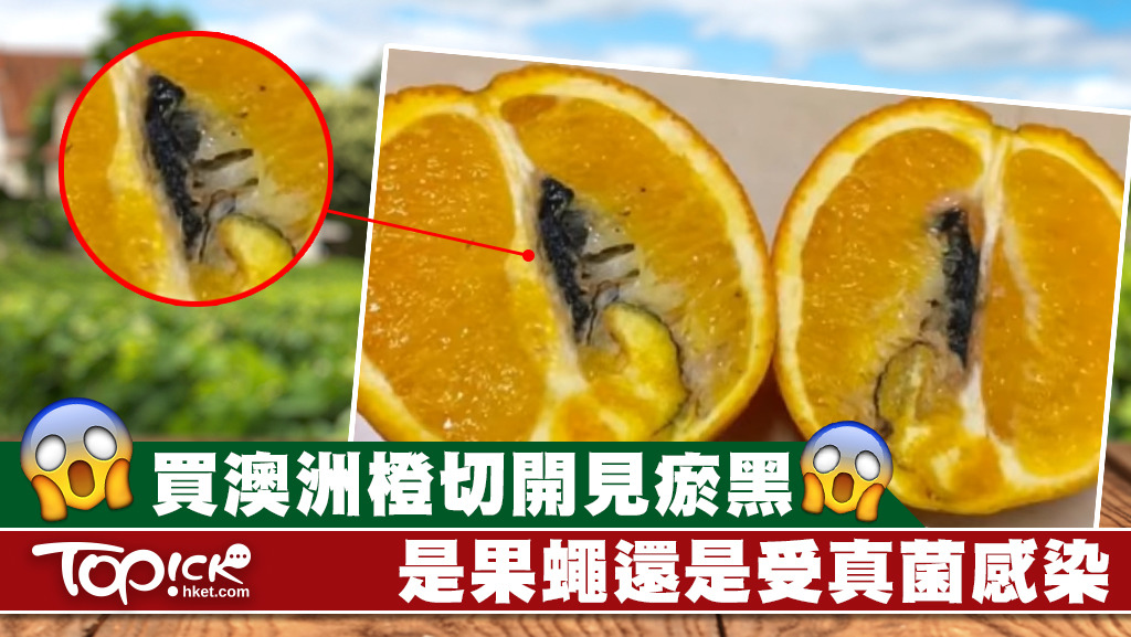 橙肉受真菌感染後食用可致敗血病。