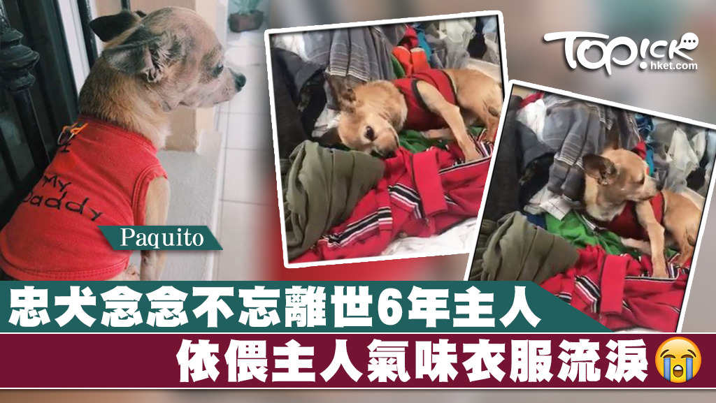 Paquito經常一臉悲傷若有所思，似在懷念過世主人。