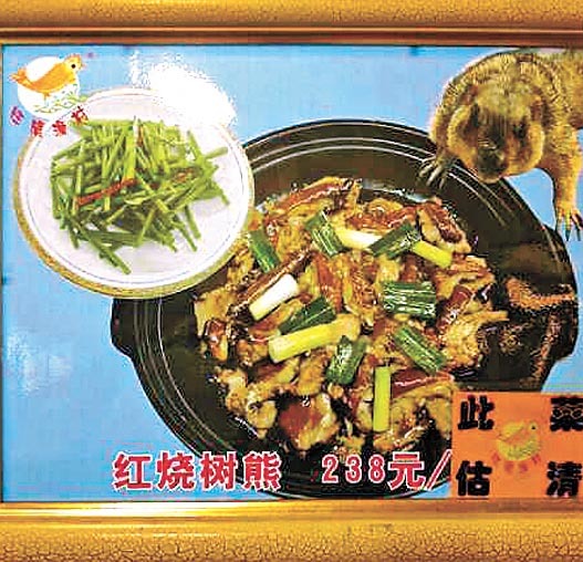 廣東餐館以$238售賣「紅燒樹熊」。(網上圖片)