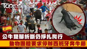 動物團體PACMA公開一段公牛跌斷腳仍掙扎爬行的影片。