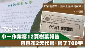 小一學生要交12頁報告，只是苦了代筆的家長。