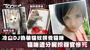 女DJ偽裝成貓奴，在領養貓咪後將其殘殺並冷血分屍。