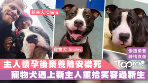 Smiley被新主人Olena領養後重現笑臉。