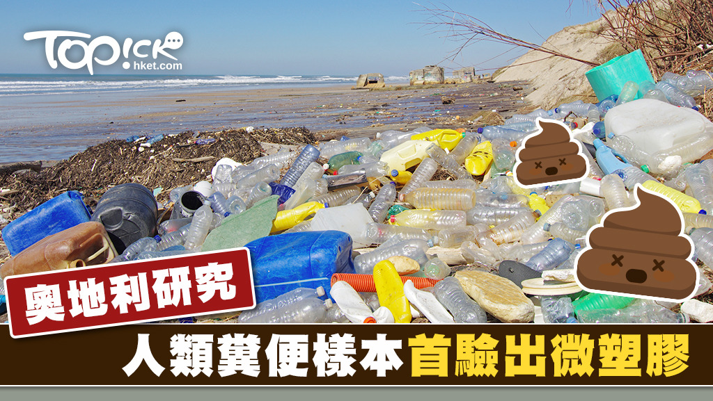 微塑膠多用於製造水樽、食物包裝和餐具，料通過相關製品的棄置而進入食物鏈。