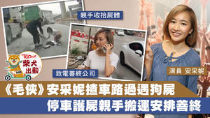 安采妮戲裡戲外都是愛狗之人，高峰期試過同時收養十隻寵物。