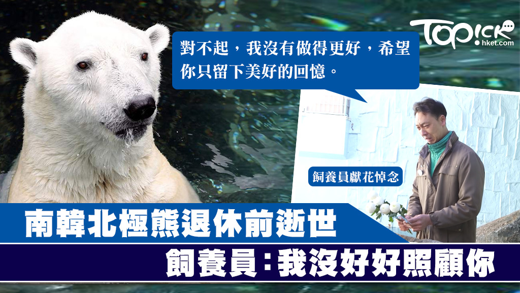 南韓唯一的北極熊Tongki於退休前逝世，終年23歲。