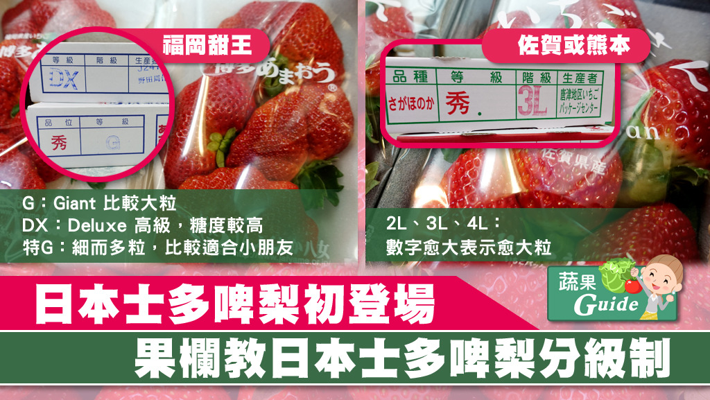 日本士多啤梨新登場，果欄教路，來自福岡、靜岡等士多啤梨，盒上各有不同分等級的方式。