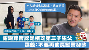 謝霆鋒聲明不是第三子之父。