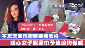 土耳其一名女子因怕流浪狗受寒，主動留下頸巾予其保暖。