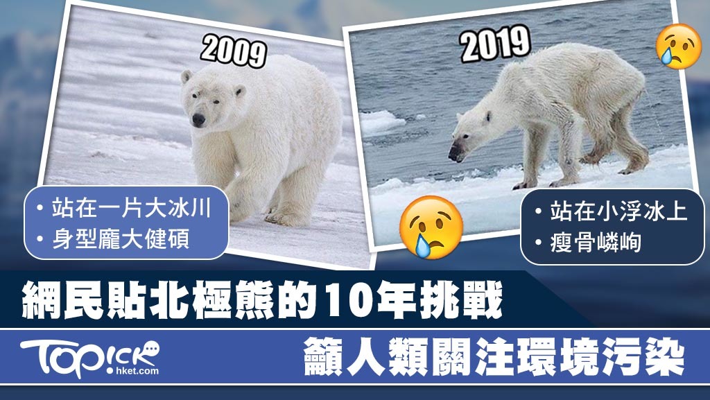 人類要關注環境污染問題，為地球出一分力。
