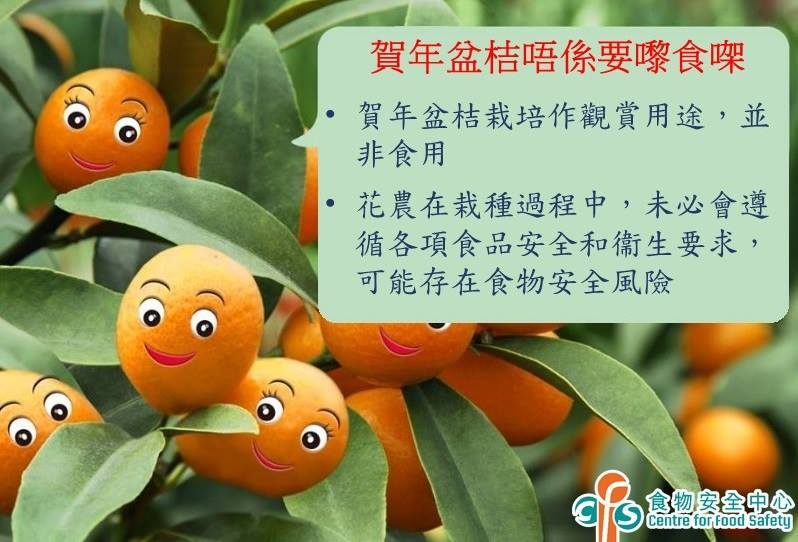 食安中心呼籲市民不要摘下觀賞年桔食用或製作食品。（食安中心fb圖片）