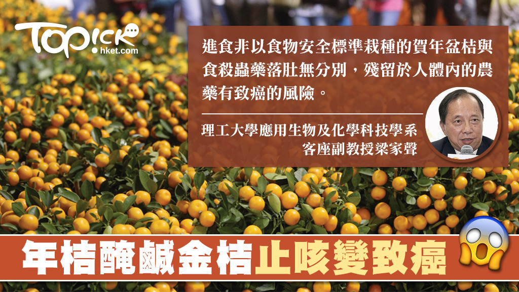 觀賞年桔可能含標農藥，不宜食用。