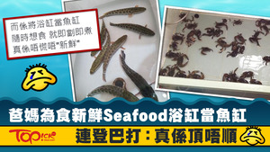 連登巴打分享爸媽為食新鮮海鮮，將浴缸當魚缸。