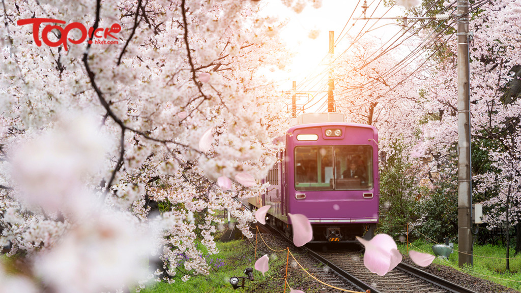 京都地鐵將會於2019年10月加價，成為全國最貴的地鐵。