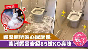 究竟用甚麼可以KO尿騷味?