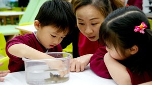 教師與學童一起探索海洋生物。（相片由校方提供）