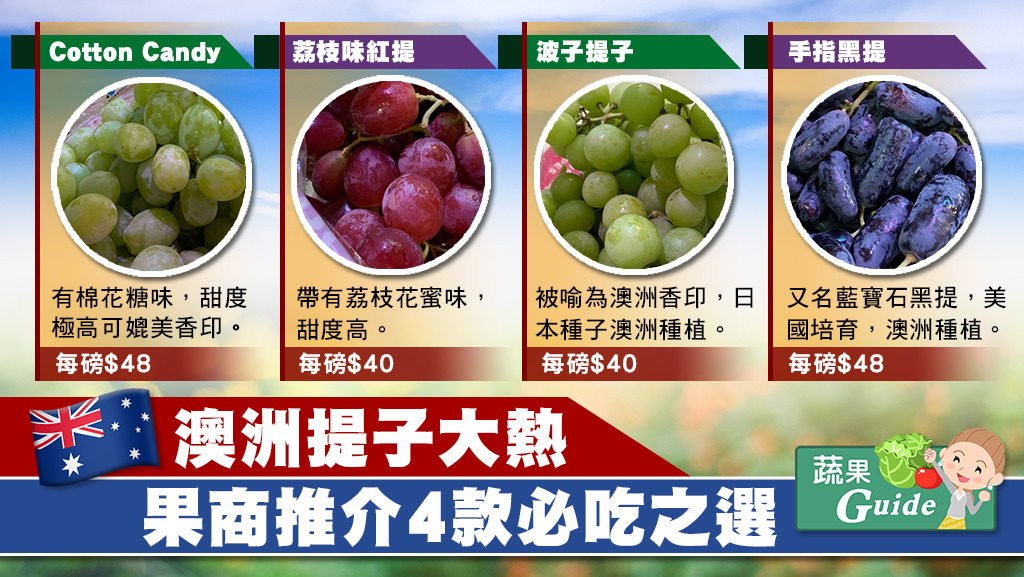 提子不一定日本香印才最好，果商教路，波子提子有澳洲香印之稱，每磅$40。