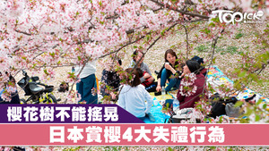 3月開始，是日本賞櫻季節，日本人講究禮貌，旅客到日本賞櫻要注意4大失禮行為。
