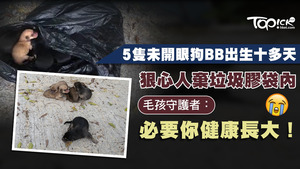 有市民於元朗垃圾站旁發現黑色垃圾膠袋，內有5隻未開眼的狗BB被遺棄。