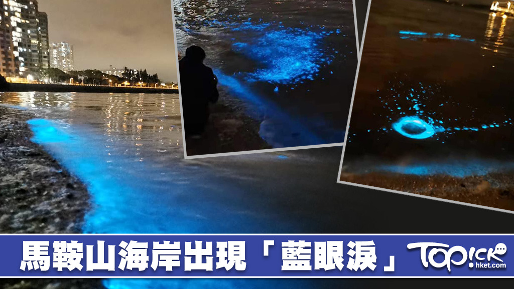 隱藏在「藍眼淚」下，是海洋污染的真相。