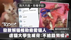 一名浙江大學生以貓咪被肢解照片要求愛貓人士付款。
