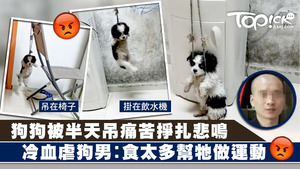 狗狗慘被冷血主人半天吊痛苦掙扎悲鳴。