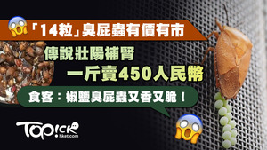 東莞一斤臭屁蟲可賣至450元人民幣一斤。