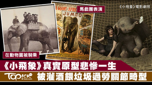 小飛象真實原型經歷悲慘一生。
