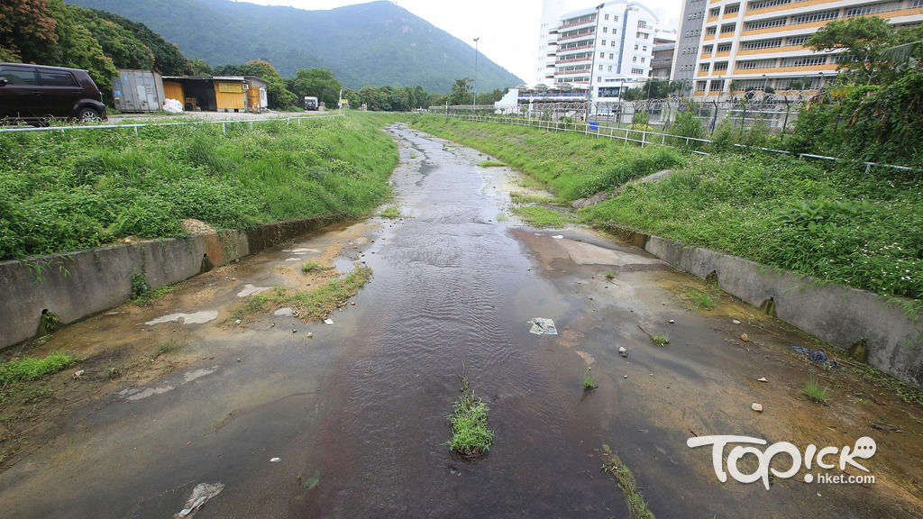 東涌河是本港的大型天然河流。（陳靜儀攝）