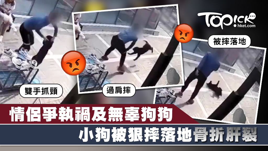 內地一對情侶爭執，無辜小狗被狠摔落地洩憤。