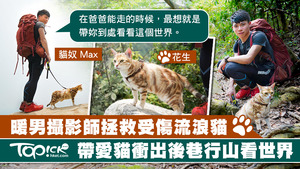 攝影師Max拯救受傷的後巷流浪貓，更與牠一起行山看世界。