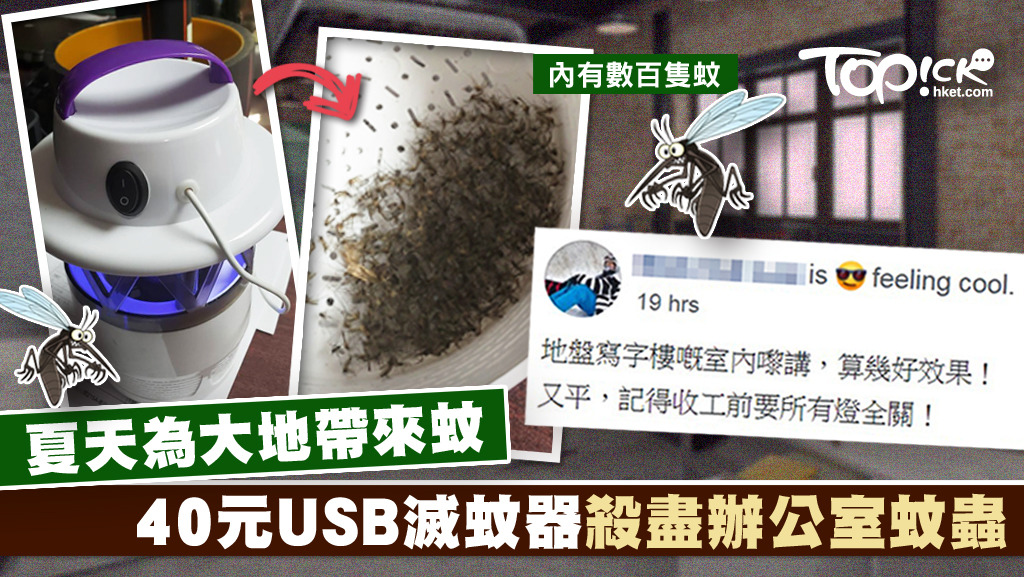 網民分享滅蚊神器。