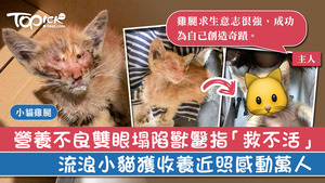 好心人悉心照料下小貓完全康復，蛻變成可愛又幸福的小貓！