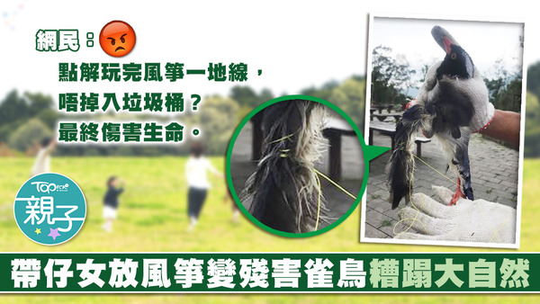有自私的港爸港媽帶仔女郊遊放風箏，留下垃圾差點害死雀鳥。