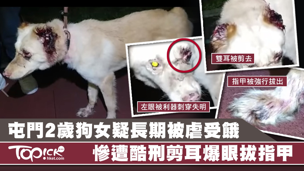 「晴晴」的雙耳被利器割去、左眼被利器刺穿失明、多隻指甲均被強行拔出或剪斷，儼如遭酷刑對待。