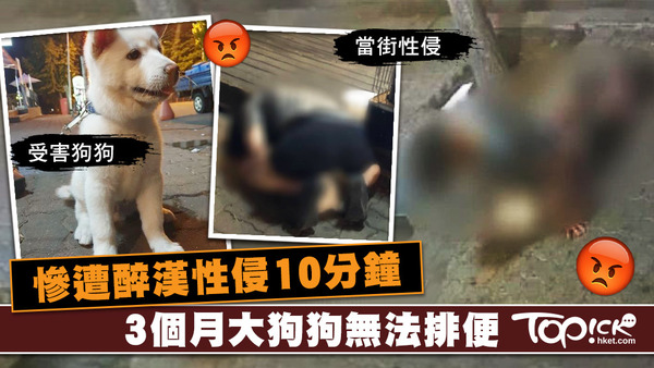 個月大狗狗慘遭醉漢性侵10分鐘致無法排便。