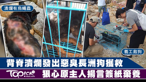 長洲有流浪狗嚴重受傷，現已獲救。