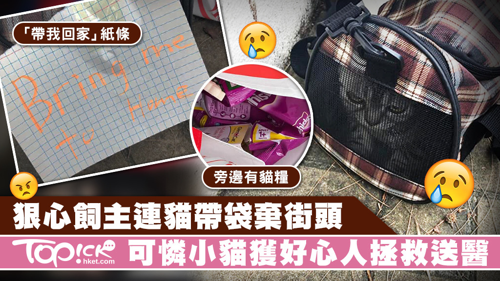 有飼主狠心把一隻小貓棄在街頭，被網民發現後，幸好獲好心人拯救送醫檢查。