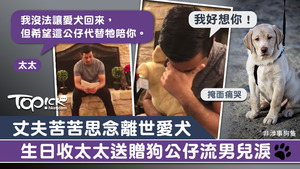 太太送贈跟已離世愛犬很相似的公仔予丈夫作生日禮物。
