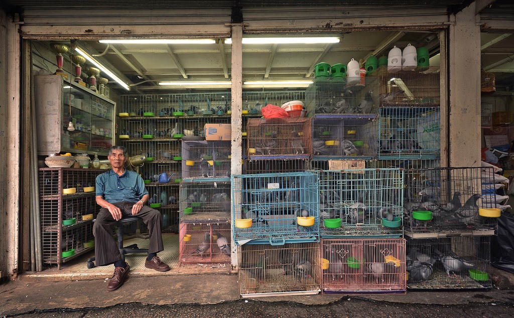 積浩明喜歡到舊區拍照，曾在2013年出版相集《The Old Shops》，透過鏡頭展示老舖如觀塘白鴿店的人情味。（Pigeon shop, Kwun Tong, 2013）