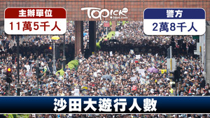 協助申請遊行不反對通知書的地區組織「沙田一隅」指，遊行人數達11萬5千人。(林宇翔攝)