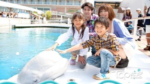橫濱八景島海島樂園推出暑假限定活動，可近距離接觸海洋動物，是暑假日本親子遊好去處。（圖片來源：八景島海島樂園官網）