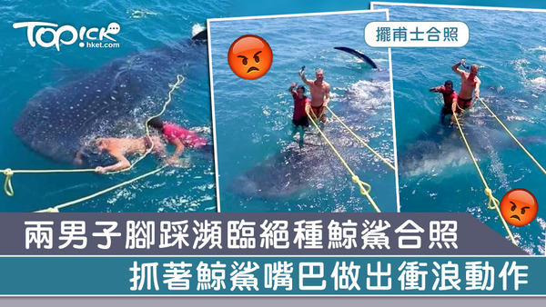 墨西哥有兩名男子踩上受保護鯨鯊背上拍照。