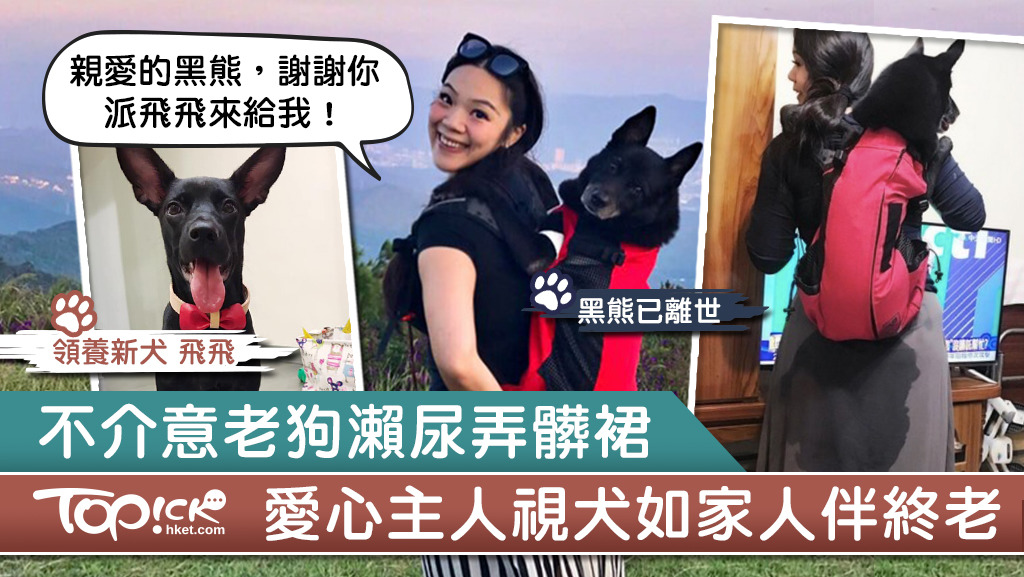 台灣愛心主人視14歲愛犬如家人陪伴終老，狗狗離世後延續愛再領養黑唐狗。