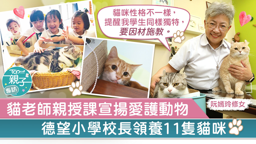 德望小學校長阮嫣玲修女領養了貓狗、雀鳥與龜，將學校打造成愛心校園。