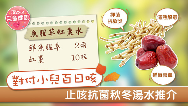 對付小兒百日咳，魚腥草紅棗水是一個好選擇。