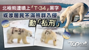 一隻北極熊的身上被人惡意噴上巨大的「T-34」黑色字樣專家憂慮此舉會令北極熊失去保護色，嚴重更會導致牠「活活餓死」。