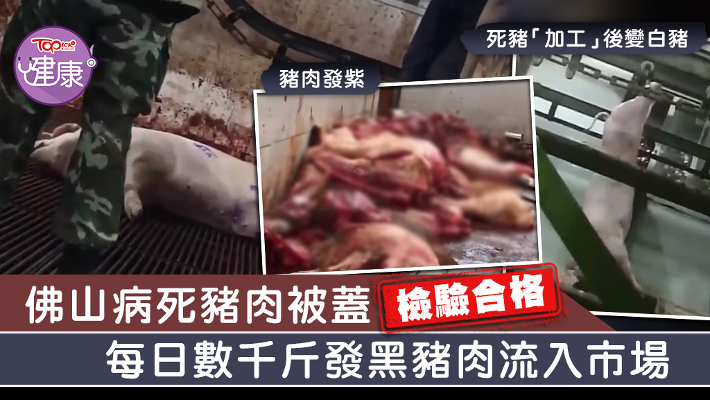 佛山病死豬肉被蓋「檢驗合格」，每日數千斤發黑豬肉流入市場。