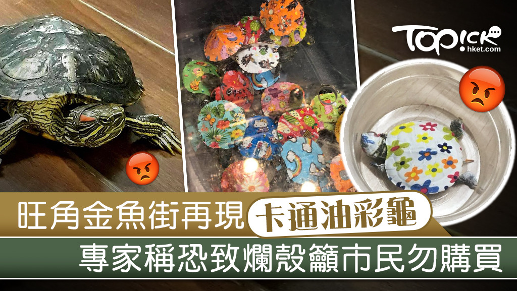 旺角金魚街有商戶出售「油彩龜」，引起網民批評。